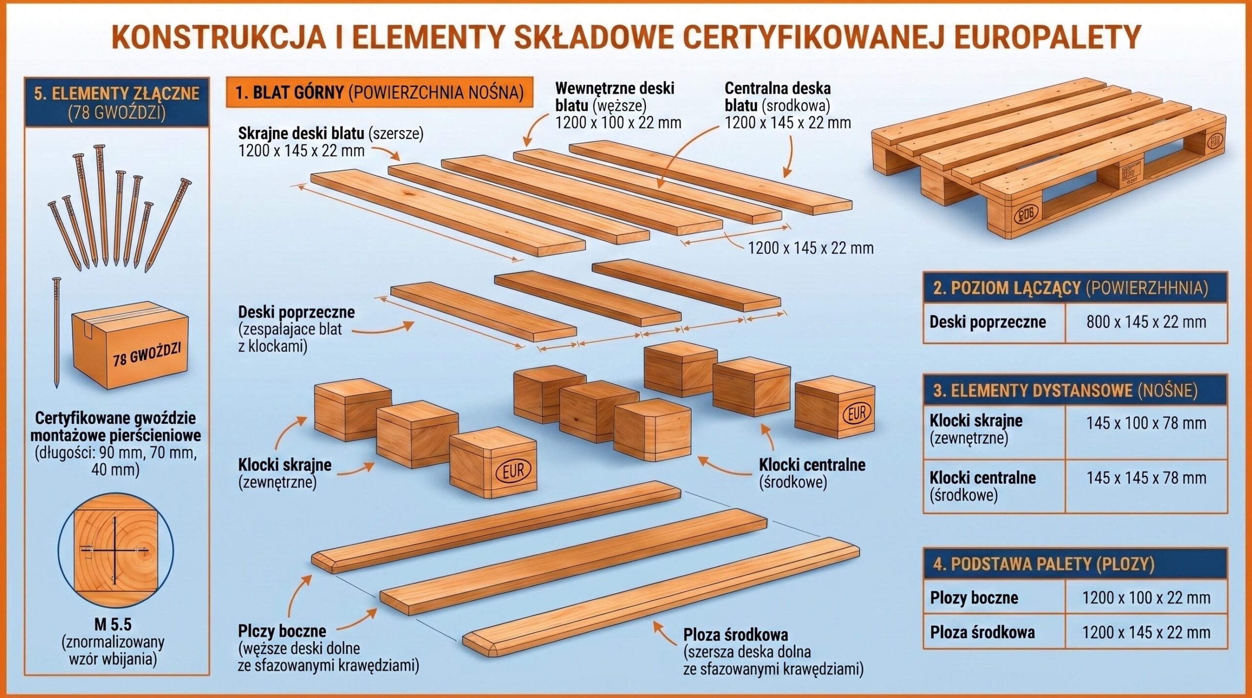Z czego składa się europaleta - infografika